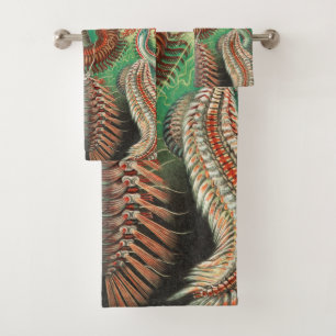 Worms, Annelids Chaetopoda by Ernst Haeckel Bath Towel Set