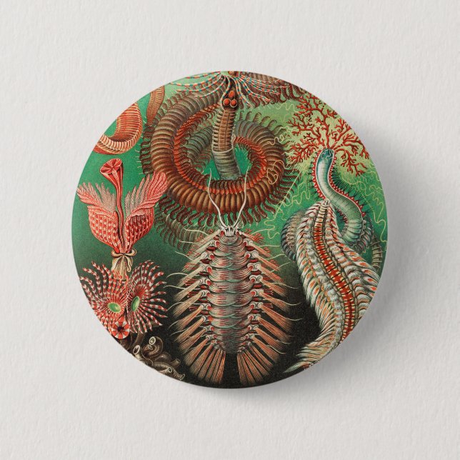Worms, Annelids Chaetopoda by Ernst Haeckel Button (Front)