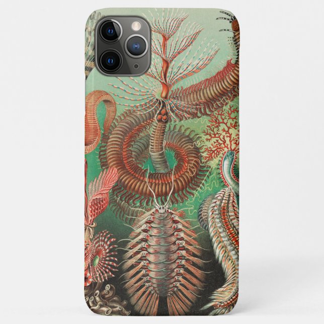 Worms, Annelids Chaetopoda by Ernst Haeckel Case-Mate iPhone Case (Back)