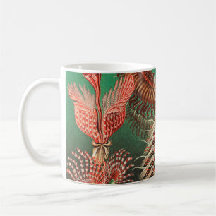 Worms, Annelids Chaetopoda by Ernst Haeckel Coffee Mug