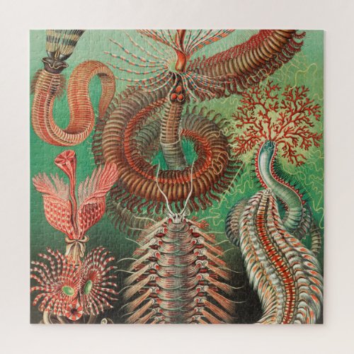 Worms Annelids Chaetopoda by Ernst Haeckel Jigsaw Puzzle