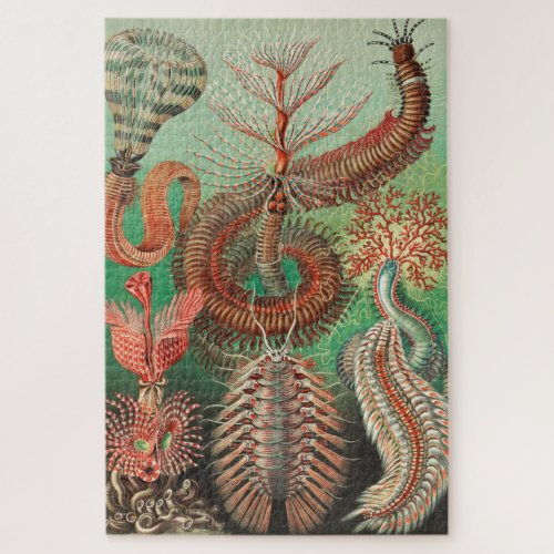 Worms Annelids Chaetopoda by Ernst Haeckel Jigsaw Puzzle