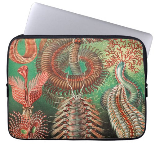 Worms Annelids Chaetopoda by Ernst Haeckel Laptop Sleeve