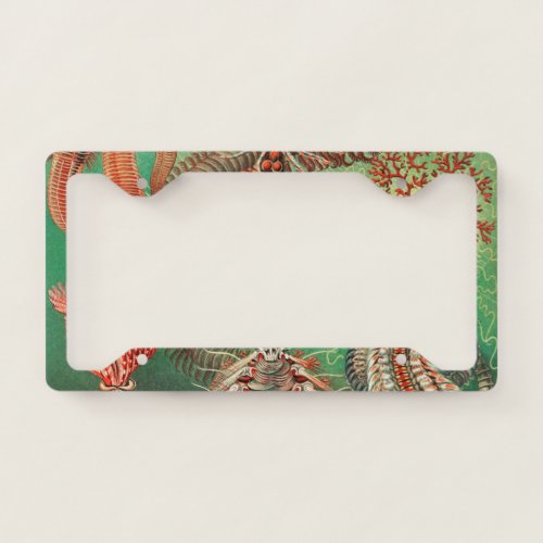 Worms Annelids Chaetopoda by Ernst Haeckel License Plate Frame