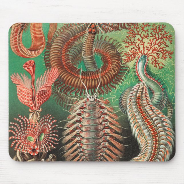 Worms, Annelids Chaetopoda by Ernst Haeckel Mouse Pad (Front)