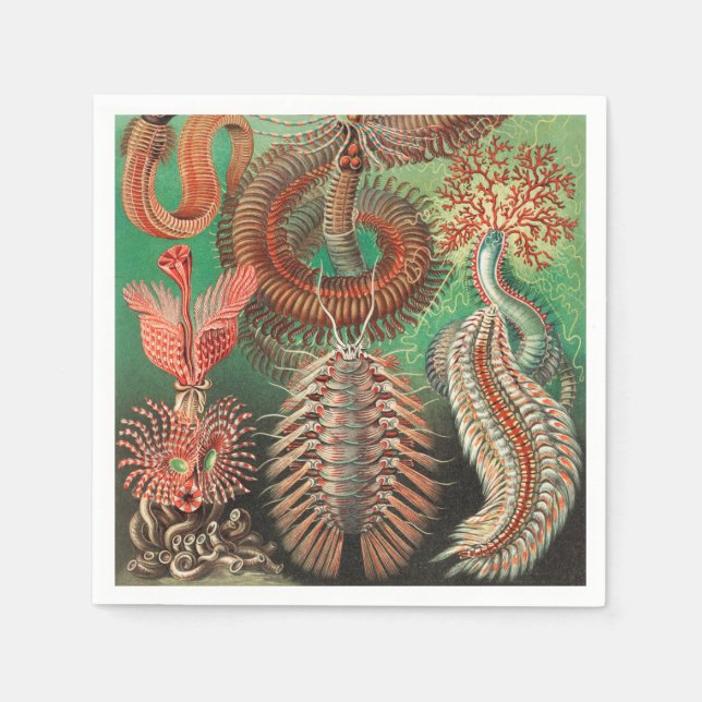 Worms, Annelids Chaetopoda by Ernst Haeckel Napkins (Front)