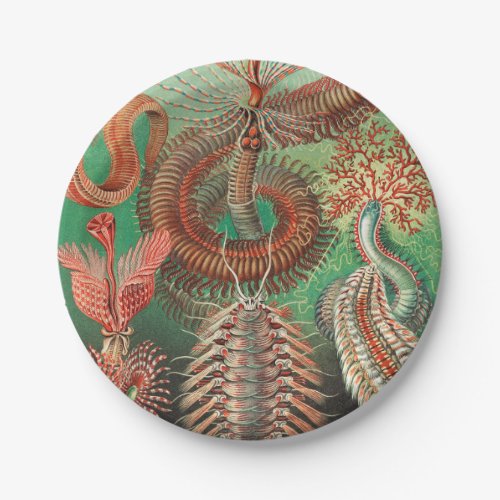 Worms Annelids Chaetopoda by Ernst Haeckel Paper Plates