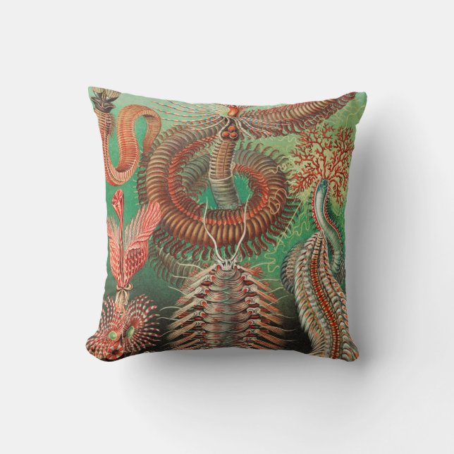 Worms, Annelids Chaetopoda by Ernst Haeckel Throw Pillow (Front)