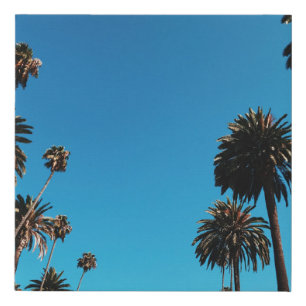 Worm's eye view of trees faux canvas print