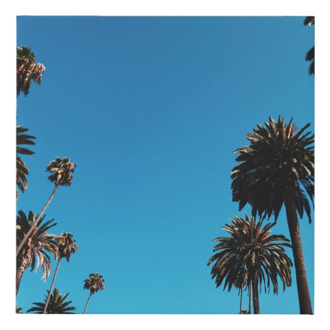 Worm's eye view of trees faux canvas print (Front)