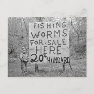 Worms For Sale, 1935 Postcard