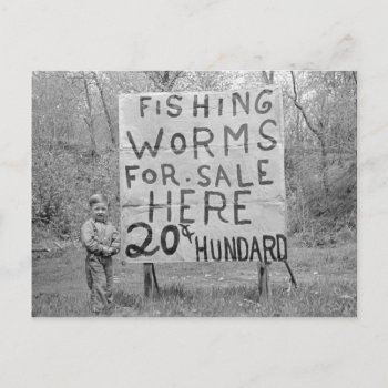 Worms For Sale  1935 Postcard by HistoryPhoto at Zazzle