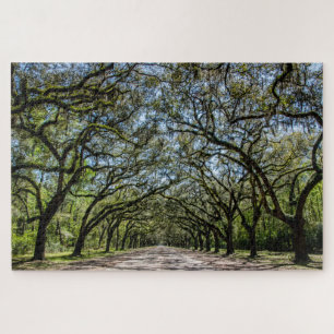 Wormsloe Historic Site Jigsaw Puzzle