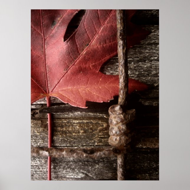 worn and weathered poster (Front)