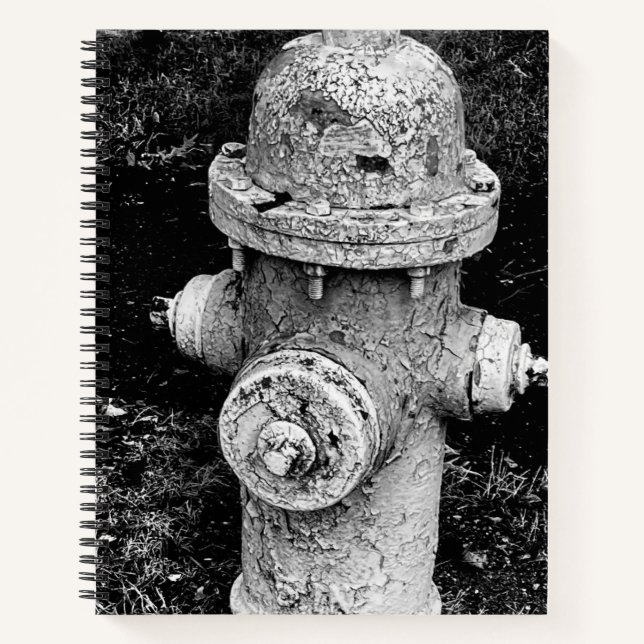 Worn Chipped Rusty Old Fire Hydrant Photograph Notebook (Front)
