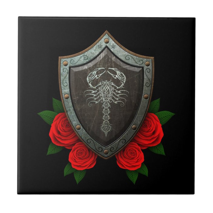 worn_decorated_scorpion_shield_with_red_roses_tile-rf7c1161bb816495ca64680c6e84ae90f_agtk1_8byvr_704.jpg