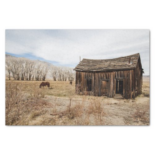 Worn Out Barn and Horses in a Field Tissue Paper