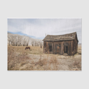 Worn Out Barn and Horses in a Field Tissue Paper