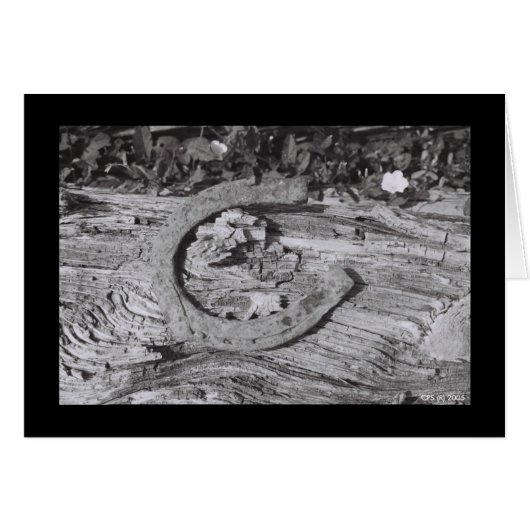 Worn Out Luck (Front Horizontal)