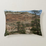 Worn Rock Walls in Zion National Park Accent Pillow