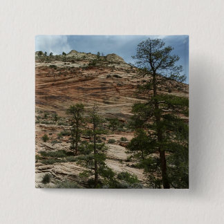 Worn Rock Walls in Zion National Park Button