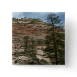 Worn Rock Walls in Zion National Park Button