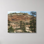 Worn Rock Walls in Zion National Park Canvas Print