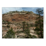 Worn Rock Walls in Zion National Park Card
