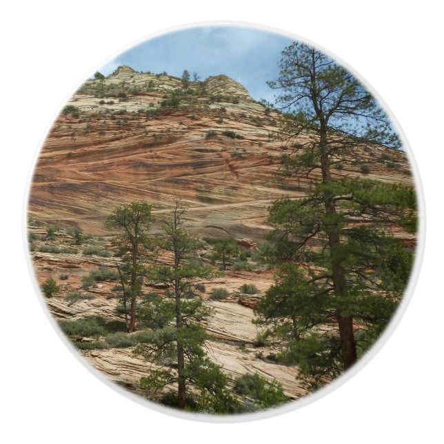 Worn Rock Walls in Zion National Park Ceramic Knob (Front)
