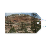 Worn Rock Walls in Zion National Park Gift Tags