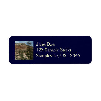 Worn Rock Walls in Zion National Park Label