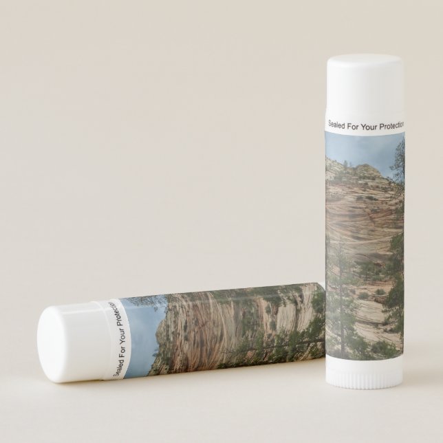 Worn Rock Walls in Zion National Park Lip Balm (Front)