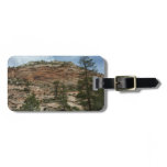 Worn Rock Walls in Zion National Park Luggage Tag