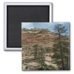 Worn Rock Walls in Zion National Park Magnet