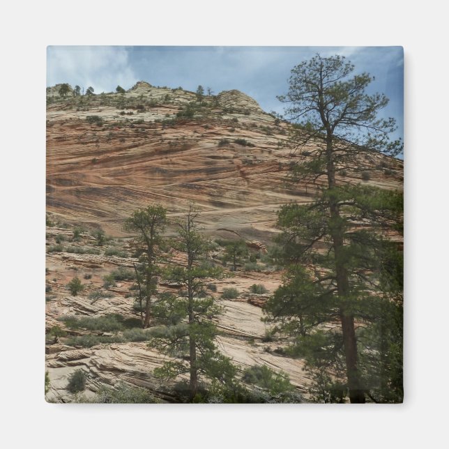 Worn Rock Walls in Zion National Park Magnet (Front)