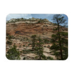 Worn Rock Walls in Zion National Park Magnet