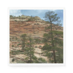 Worn Rock Walls in Zion National Park Paper Napkins