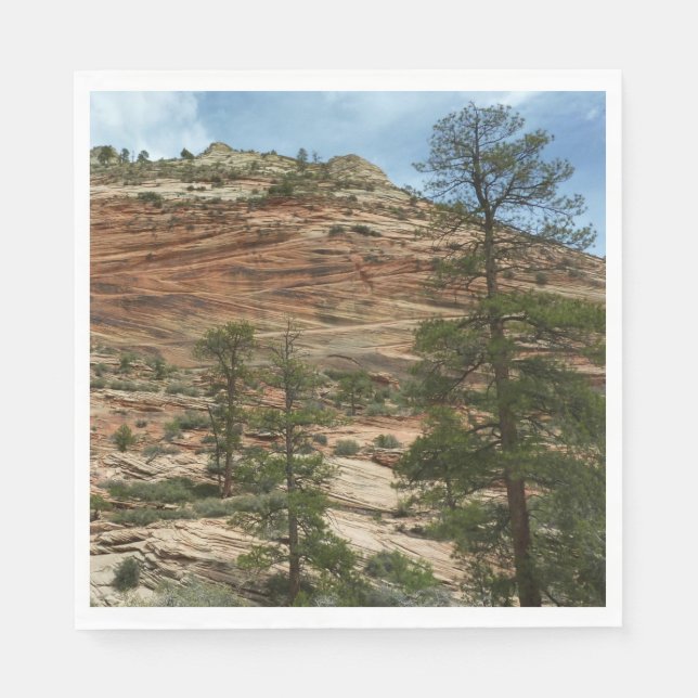 Worn Rock Walls in Zion National Park Paper Napkins (Front)
