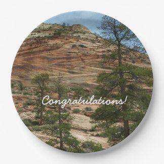 Worn Rock Walls in Zion National Park Paper Plates