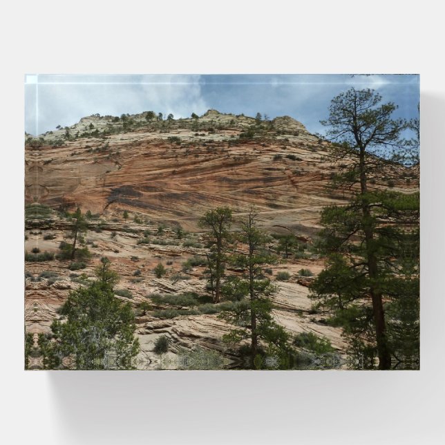 Worn Rock Walls in Zion National Park Paperweight (Front)