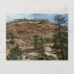 Worn Rock Walls in Zion National Park Postcard