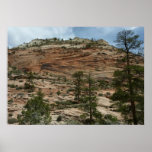 Worn Rock Walls in Zion National Park Poster