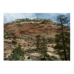 Worn Rock Walls in Zion National Park Poster