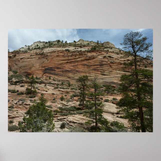 Worn Rock Walls in Zion National Park Poster (Front)