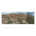 Worn Rock Walls in Zion National Park Rectangular Sticker
