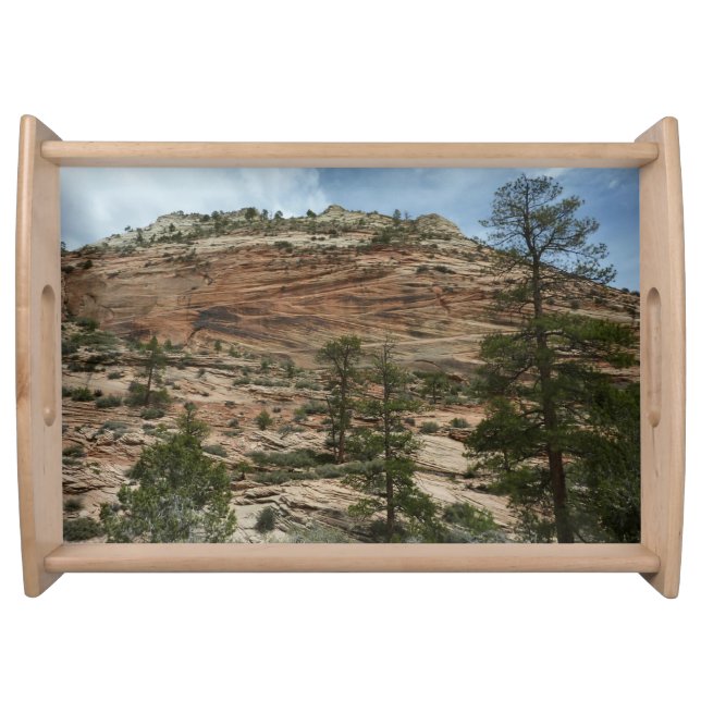 Worn Rock Walls in Zion National Park Serving Tray (Front)
