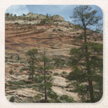 Worn Rock Walls in Zion National Park Square Paper Coaster