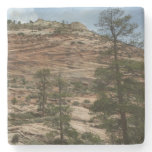 Worn Rock Walls in Zion National Park Stone Coaster