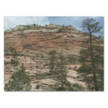 Worn Rock Walls in Zion National Park Tissue Paper