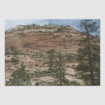 Worn Rock Walls in Zion National Park Tissue Paper